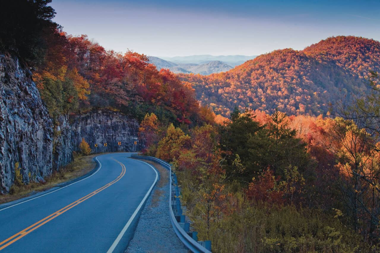 Nw Georgia Landscape